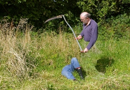 I fought the lawn but the lawn won